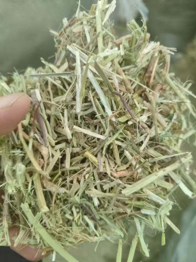 花生秧段花生叶粉大量上市产地直发价格优惠欢迎来电