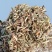 花生秧段花生叶粉大量上市产地直发价格优惠欢迎来电