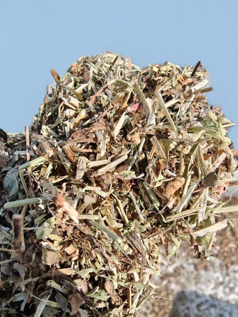 花生秧段花生叶粉大量上市产地直发价格优惠欢迎来电