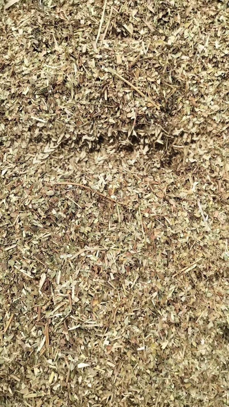 花生秧段花生叶粉大量上市产地直发价格优惠欢迎来电
