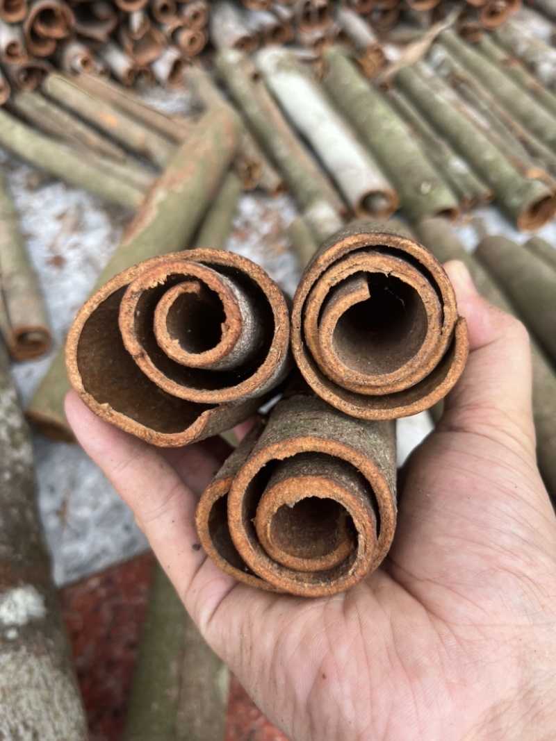 广西桂皮水洗大小中桶，无杂质白斑少条形好，原产地直发