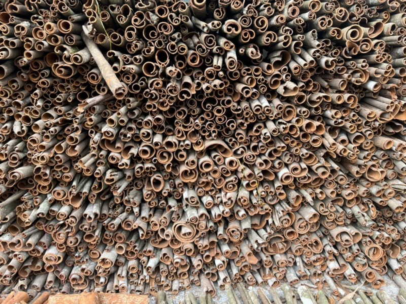 广西桂皮水洗大小中桶，无杂质白斑少条形好，原产地直发