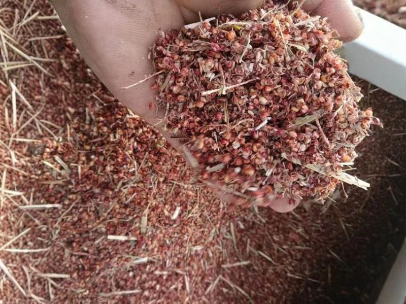 高粱壳大量供应品质保证干净无渣欢迎来电洽谈价格优