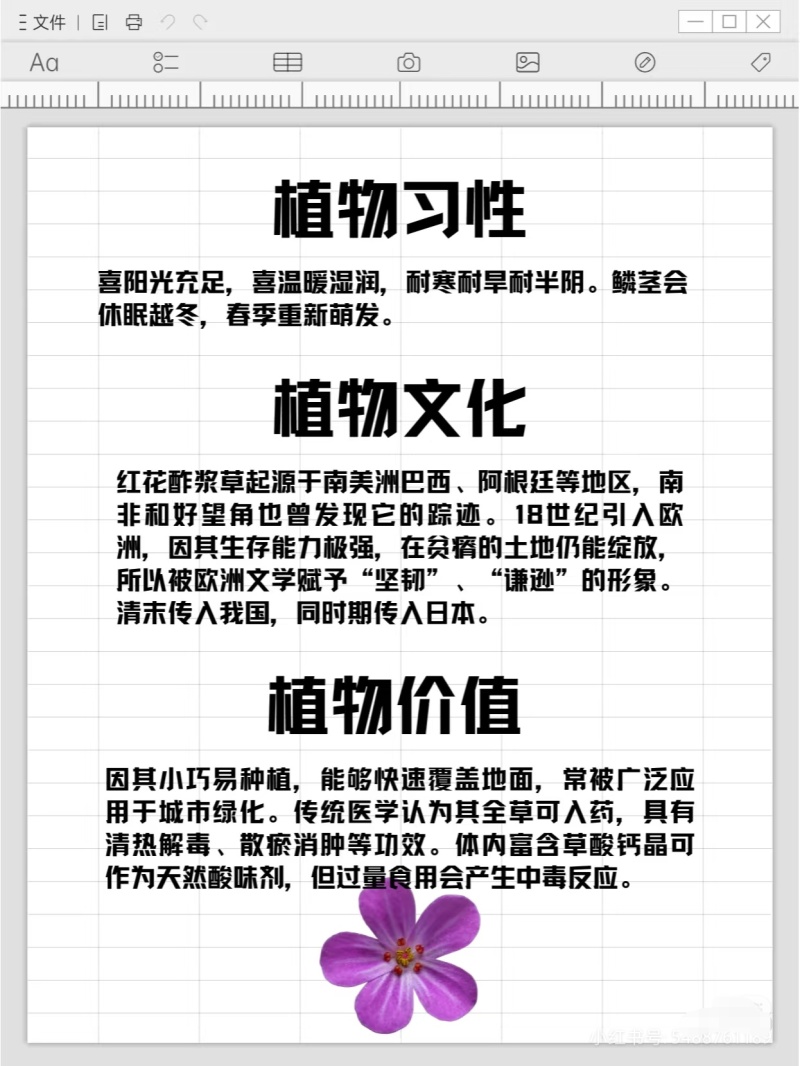 红花酢浆草种球