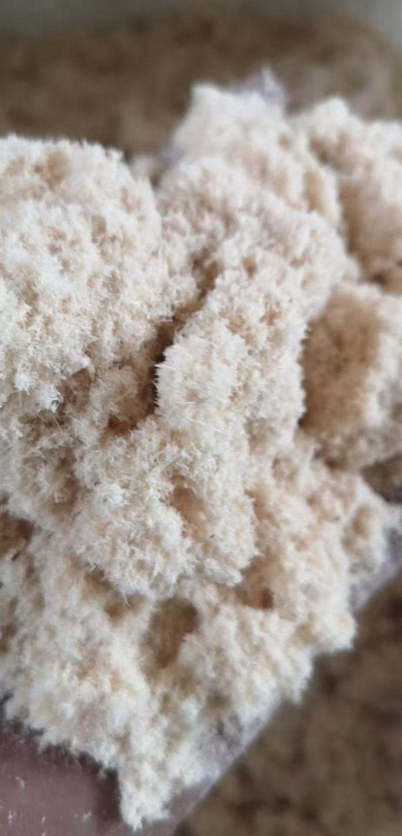 木粉大量供应厂家直发价格优惠支持视频看货欢迎来电谈