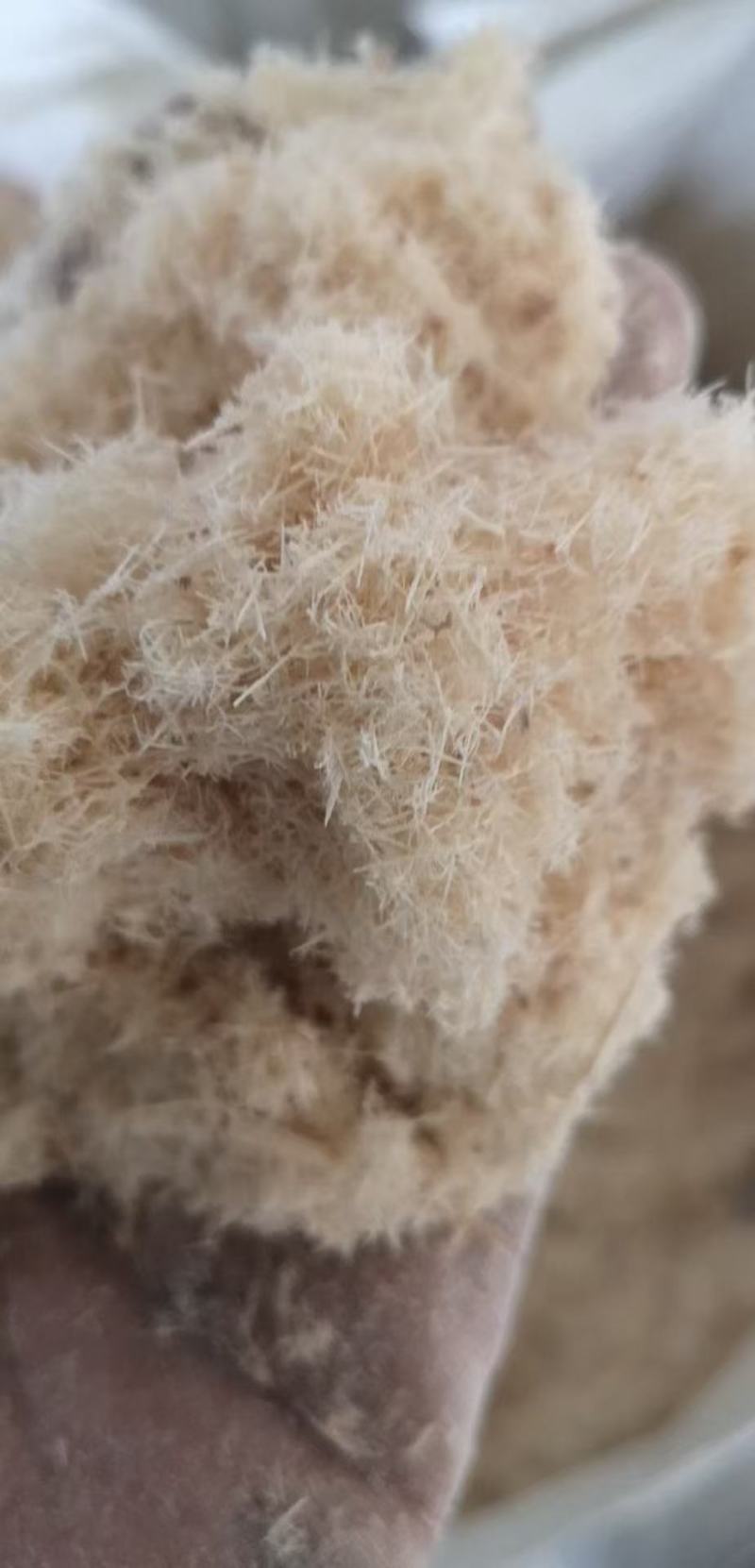 木粉大量供应厂家直发价格优惠支持视频看货欢迎来电谈