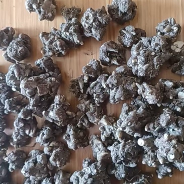 批发猫爪草通货一手货源诚信经营欢迎询价