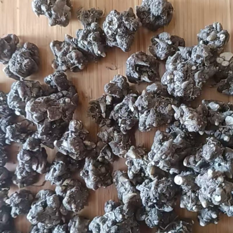 批发猫爪草通货一手货源诚信经营欢迎询价