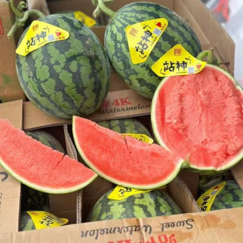 陕西甘美4k西瓜皮薄肉厚多汁糖分高，产地发货全国代发