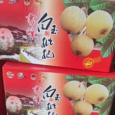 贵妃白，解放钟