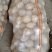 湖北土豆实验一沃土电商货小土豆大量有货