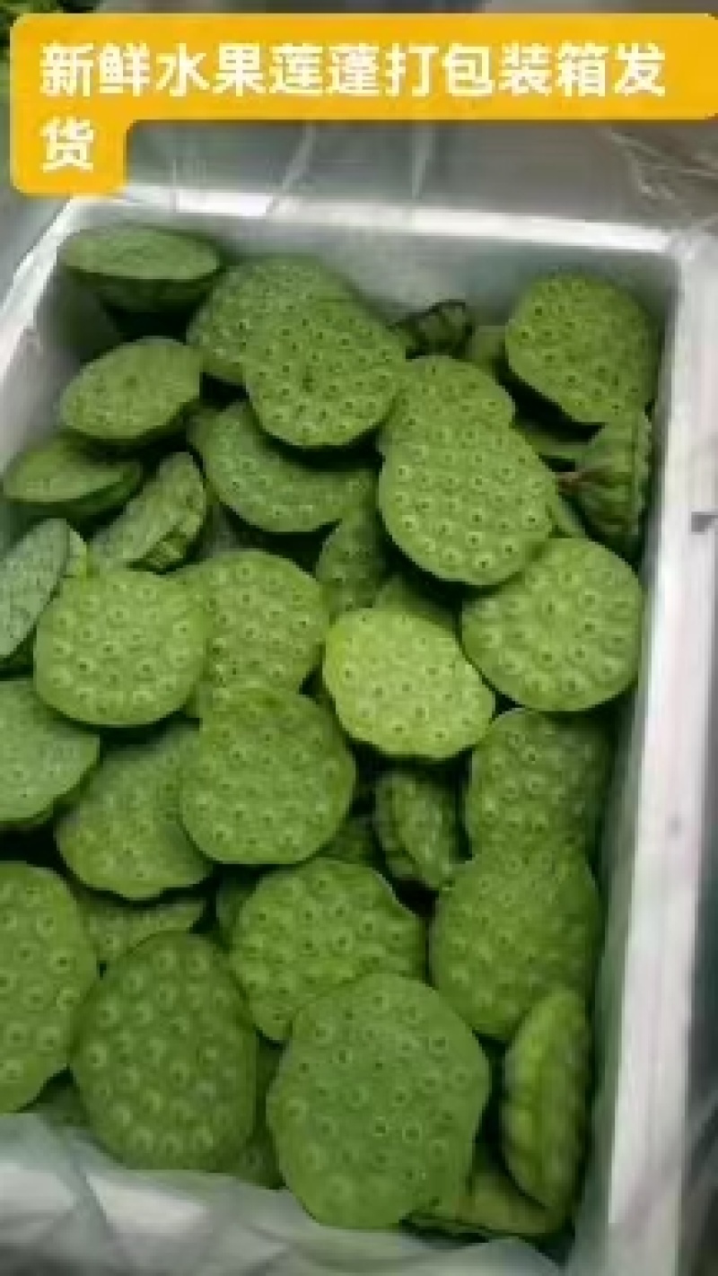 海南水果嫩莲蓬基地直供全国各地发货大量现货供应荷花莲蓬莲