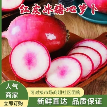水果萝卜冰糖心萝卜，红皮奶白色果肉，果肉脆甜，适合电商