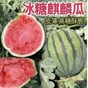 精品麒麟美都甜王西瓜糖度高一手货源包熟包甜生瓜包赔