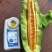 羊角蜜山东产地直发羊角蜜甜瓜量大从优对接市场电商