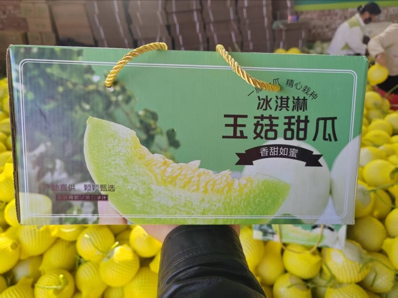 玉菇甜瓜