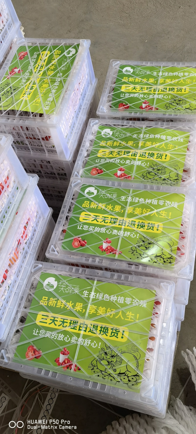 陕西大荔水果西红柿草莓番茄铁皮柿子高糖口感番茄