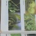 噻菌铜柑橘溃疡病软腐病叶斑病水稻细菌性条斑病杀菌剂龙克均