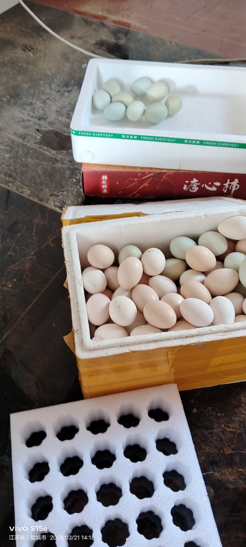 鹊山鸡种蛋