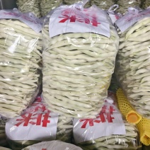 河南白不老豆角白芸豆大量上市中可视频看货