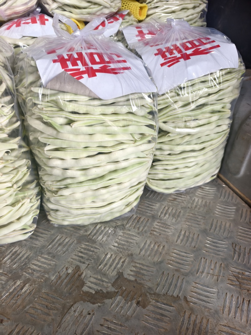 河南白不老豆角白芸豆大量上市中可视频看货