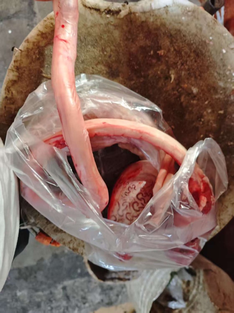 牛鞭宝工厂直发品质保证量大从优一条龙服务