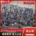 广西青头鸭，收购批发商，麻鸭，番鸭，本公司货源欢迎采购