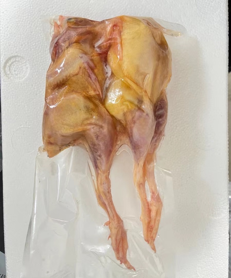 鹧鸪鸟白条真空包装品质保证顺丰包邮量大价优