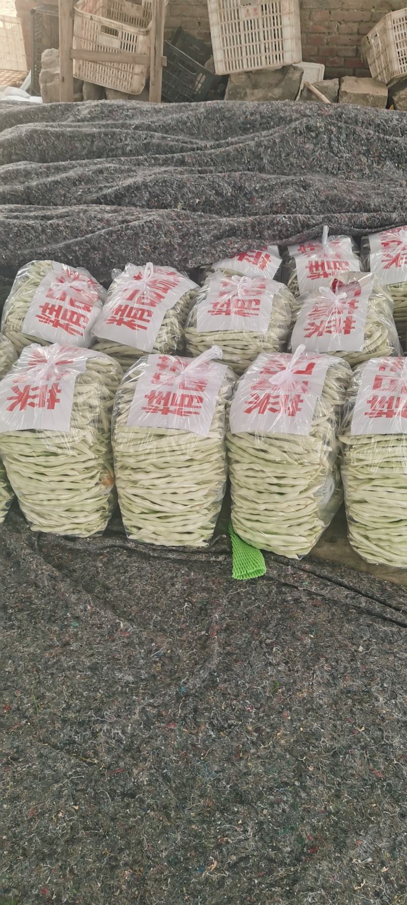 河南芸豆，白不老，品质好，视频看货，线上保障交易