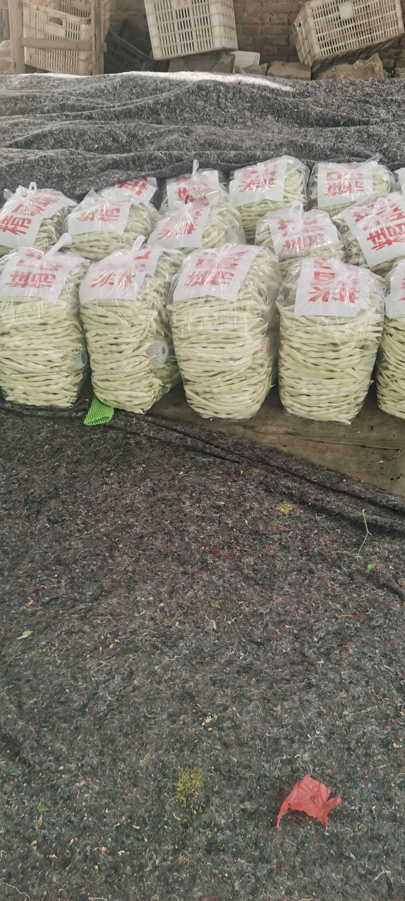 河南芸豆，白不老，品质好，视频看货，线上保障交易