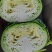 精品奥奇拿扁包菜2-4斤，菜嫩颜色好！！