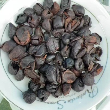 咖啡果皮,果茶提香用途