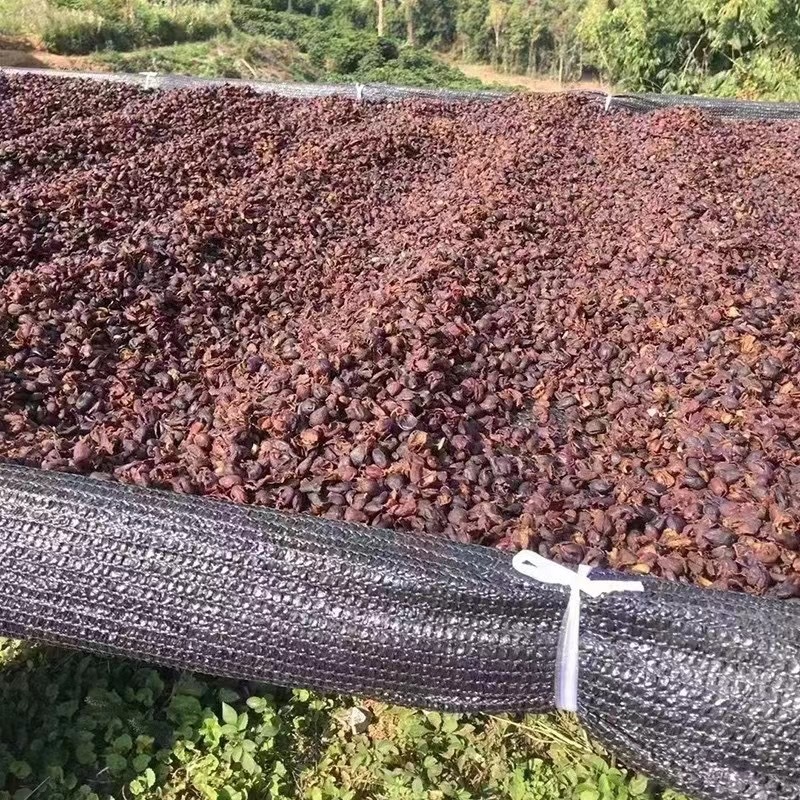 咖啡果皮,果茶提香用途