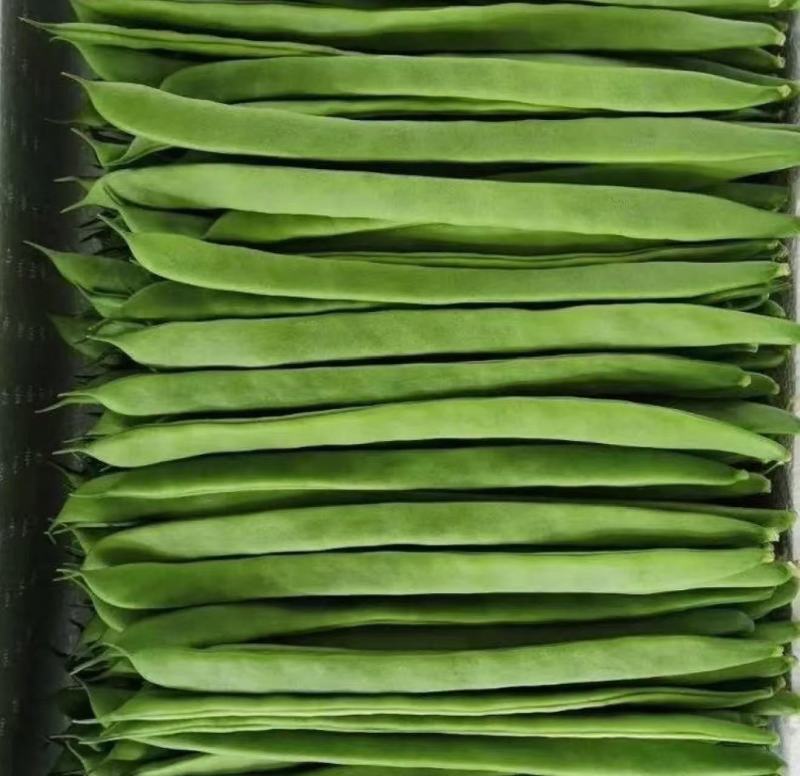 山西扁豆扁芸豆豆角地头现摘现发对接各大商超