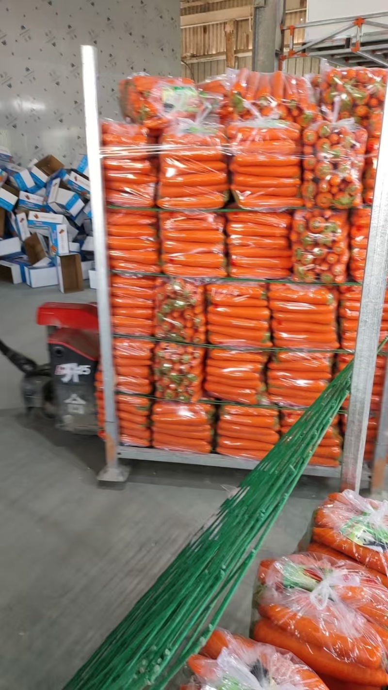 【推荐】精品胡萝卜新品上市/产地直发/对接商超批发市场