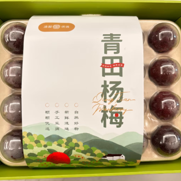 大棚东魁杨梅