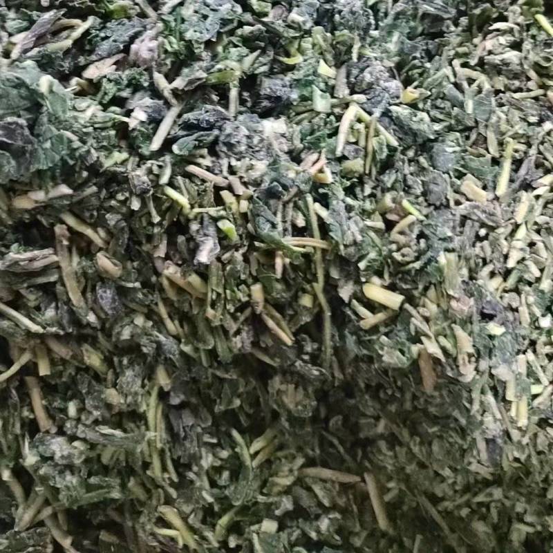 河南精品速冻蒲公英，品质精品，量大价优新鲜采摘加工速冻