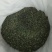 河南精品速冻蒲公英，品质精品，量大价优新鲜采摘加工速冻