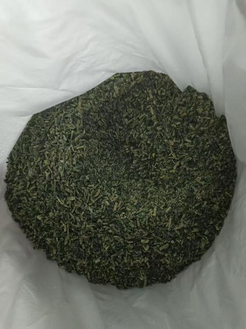 河南精品速冻蒲公英，品质精品，量大价优新鲜采摘加工速冻