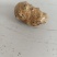 羊宝羊结石，十克左右