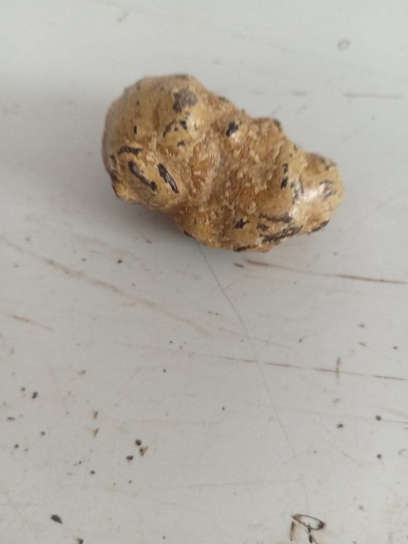 羊宝羊结石，十克左右