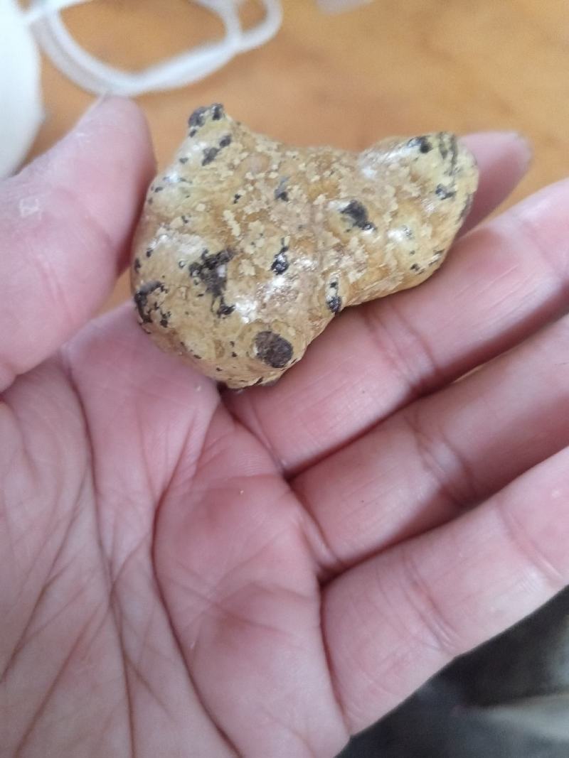 羊宝羊结石，十克左右