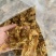 笋衣，适合炒菜或者炖汤无硫笋衣，颜色可能没有那好看
