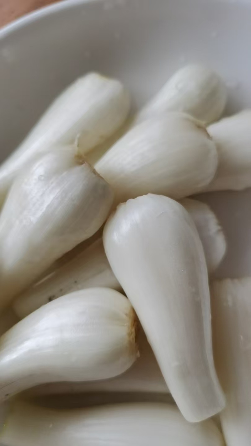 精品藠头大量供应货源充足，量大从优新鲜发