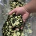 蔬菜干制品黄瓜片黄瓜干农副产品蔬菜干制品
