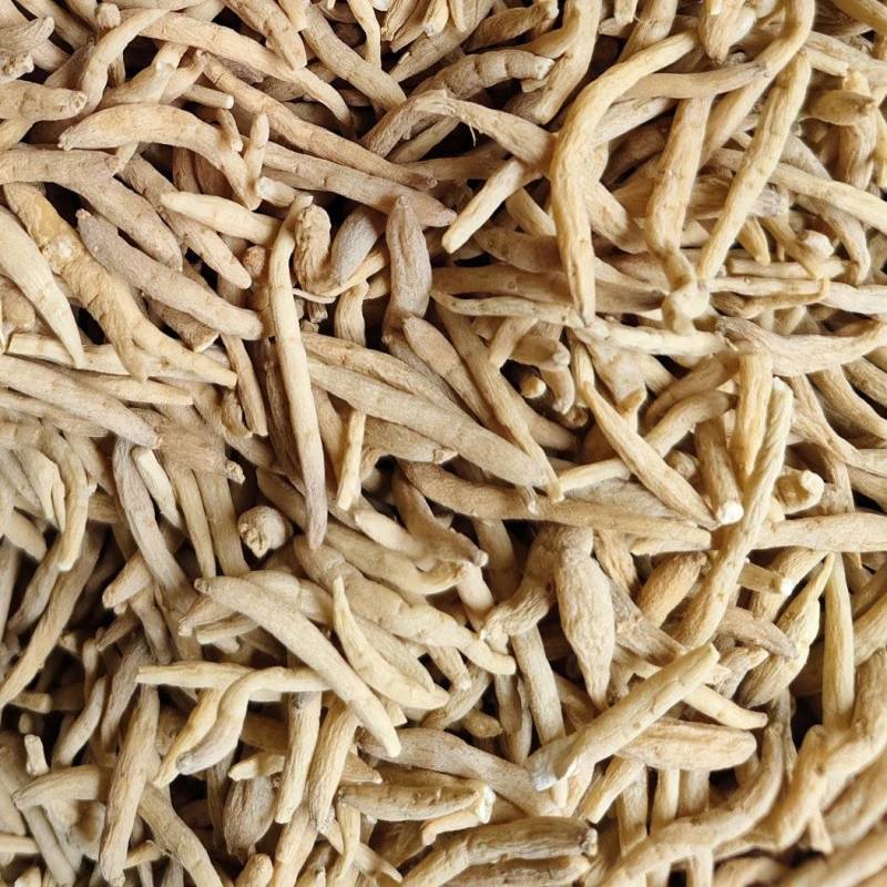 中药材太子参干货无各种规格产地直销散装批发量大优惠