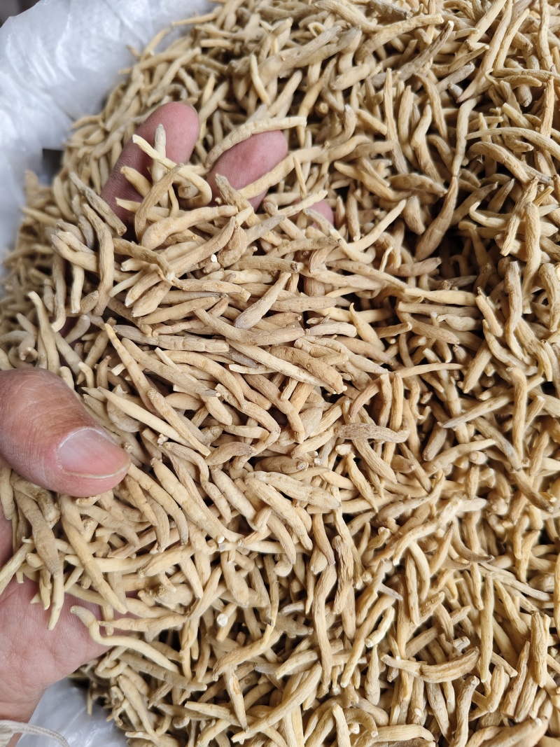 中药材太子参干货无各种规格产地直销散装批发量大优惠