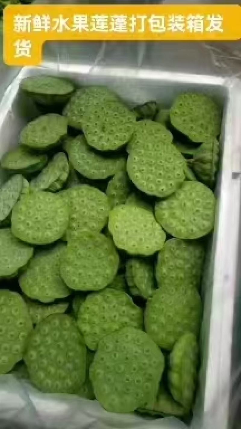 新鲜水果嫩莲蓬基地直供大量上市供货中，原产地供应全国各地