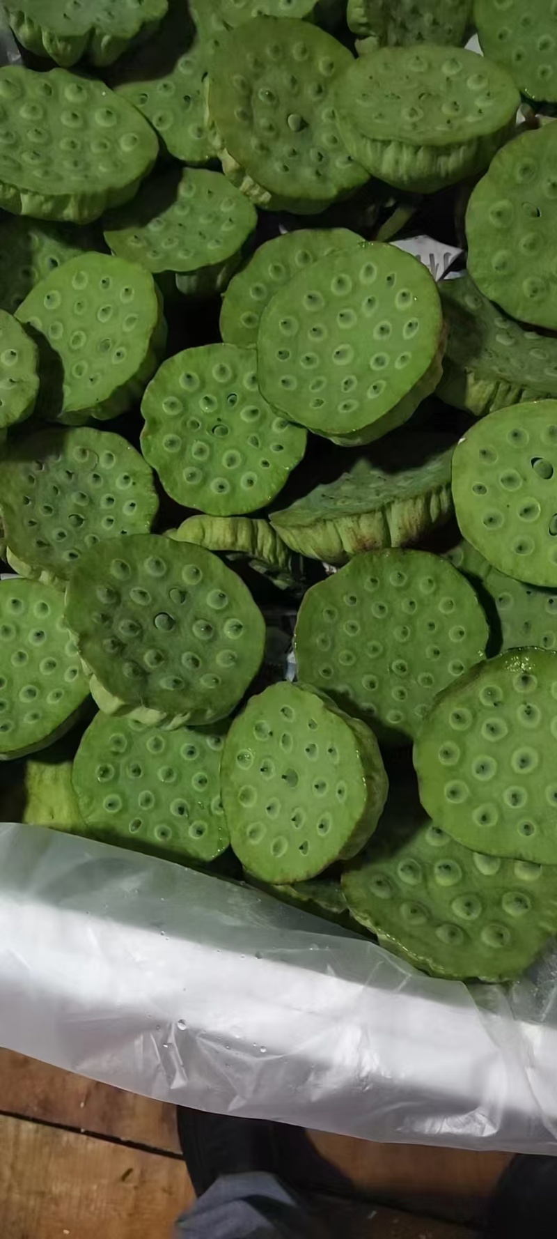新鲜水果嫩莲蓬基地直供大量上市供货中，原产地供应全国各地