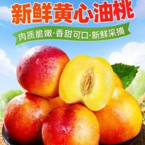 砀山【现摘】-黄心大油桃孕妇水果当季黄肉油桃子整箱毛桃批